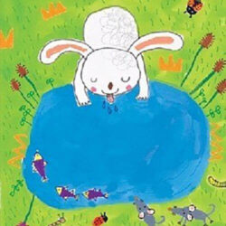 옹달샘 연주 앨범